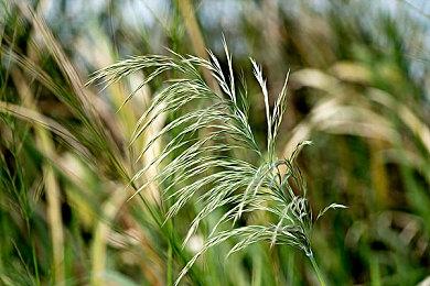 《龙珠Z：电光火石0》初期提供24名可操作角色